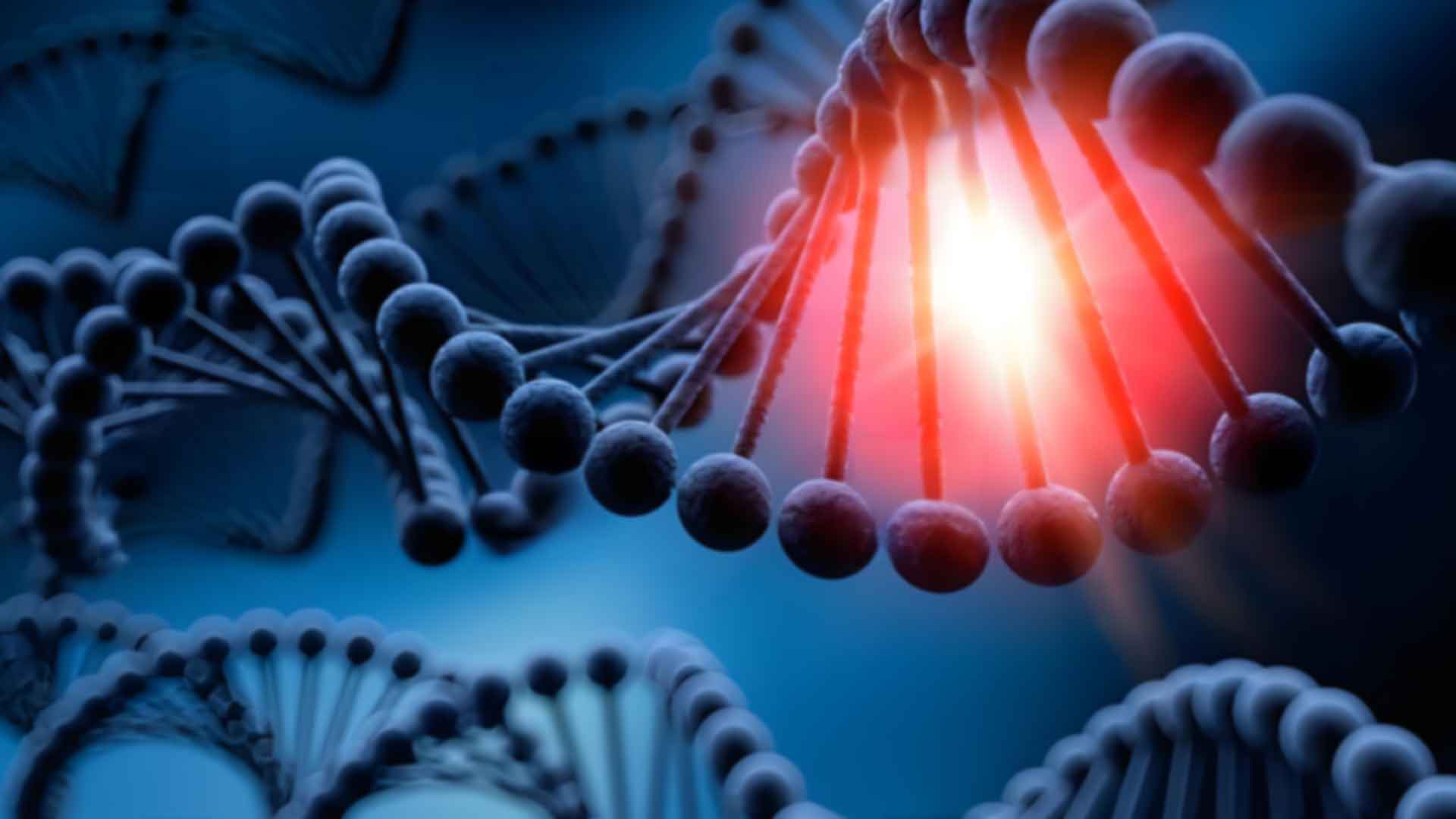 @密云个人亲子办理要带什么证件