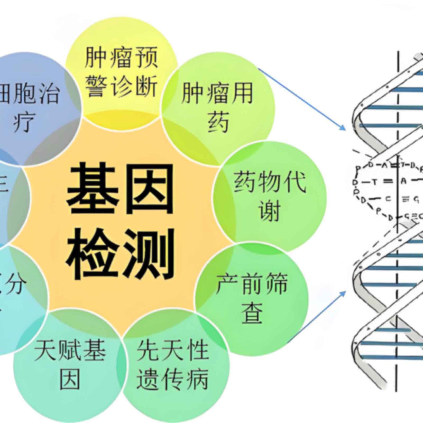 昌平司法亲子需要注意哪些鉴定操作